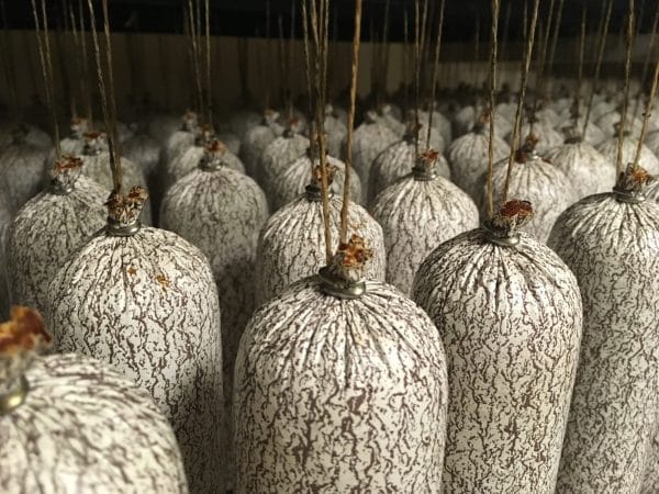 Maďarská klobaňa čípoš - pikantná rastlinná údenina